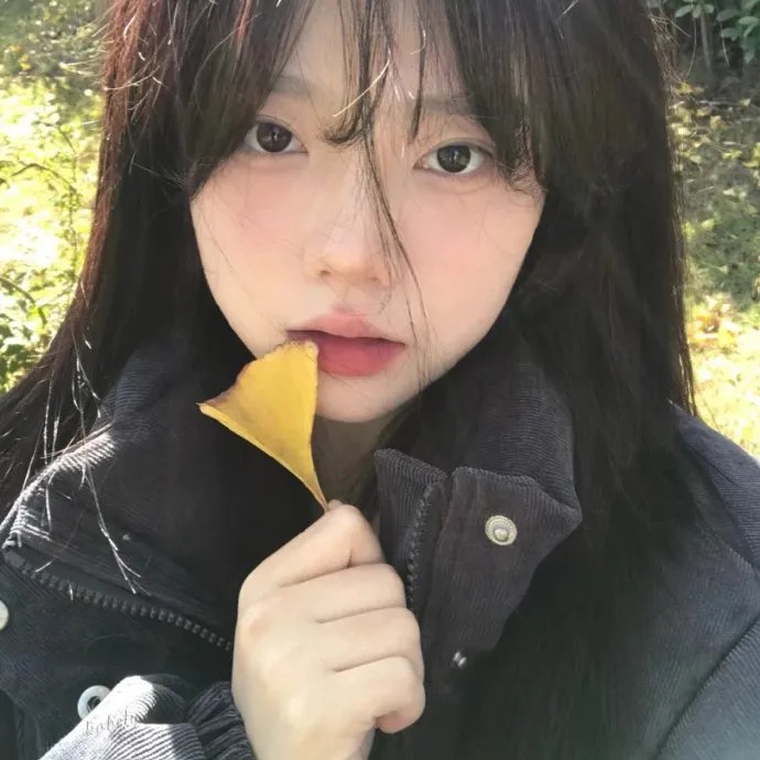公子倾城