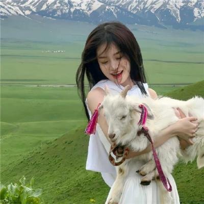 暗金烂狗6